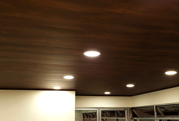 PVC Ceiling 1
