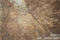 HC8813 12X24 inch 4mm thickness SPC flooring