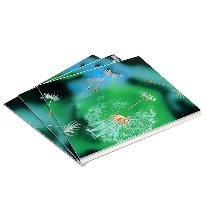 H-05 pvc ceiling panel 250x7x5950mm